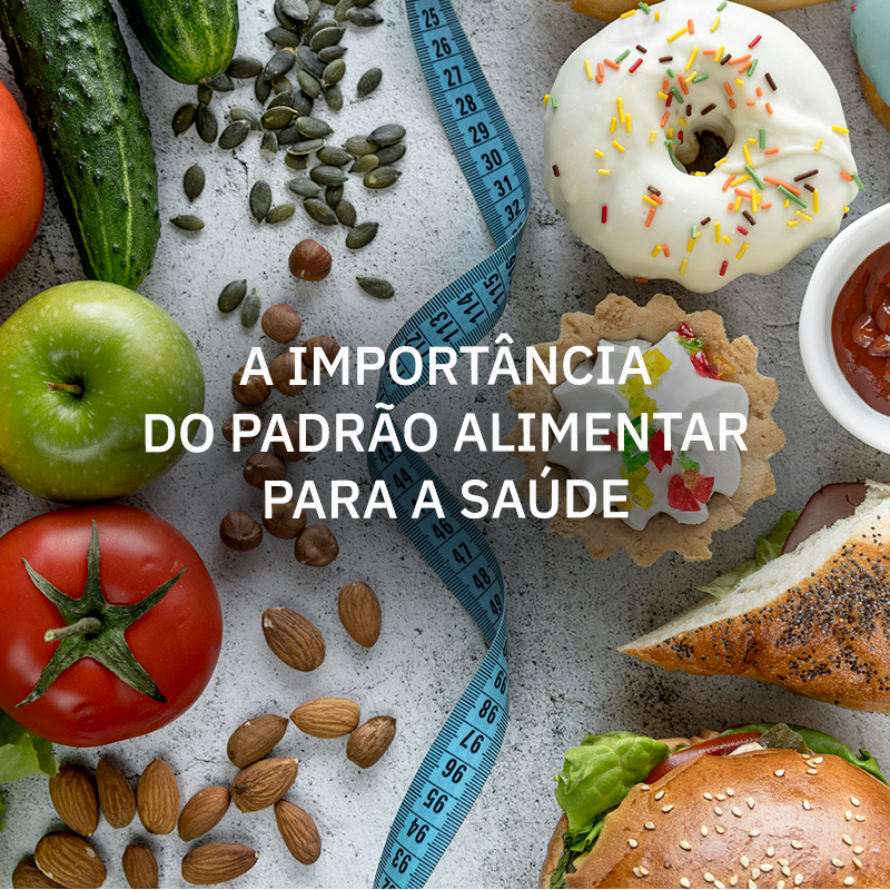 Como você se alimento